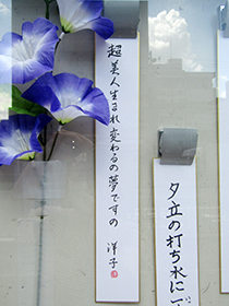 東成柳友会