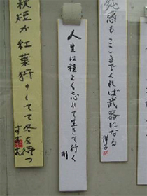 『柳友会（川柳）』のみなさんの作品