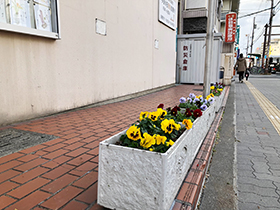園芸サークルの活動紹介