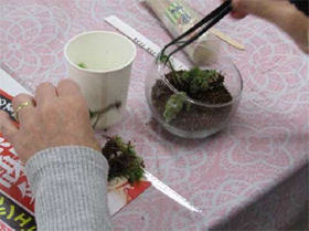 『苔テラリウム作り』講座