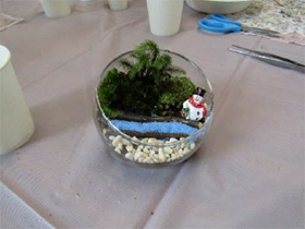 『苔テラリウム作り』講座